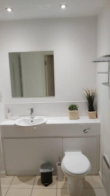 Piquancy Apartments - Sheffield City Centre Екстер'єр фото
